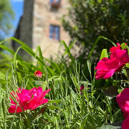 Апартаменты Mulino In Chianti Гайоле-ин-Кьянти Экстерьер фото